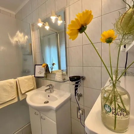 & Wirtshaus Hoedl-kaplan Hotel 3*