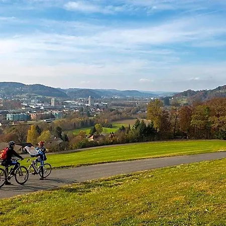 & Wirtshaus Hoedl-kaplan Hotel 3*