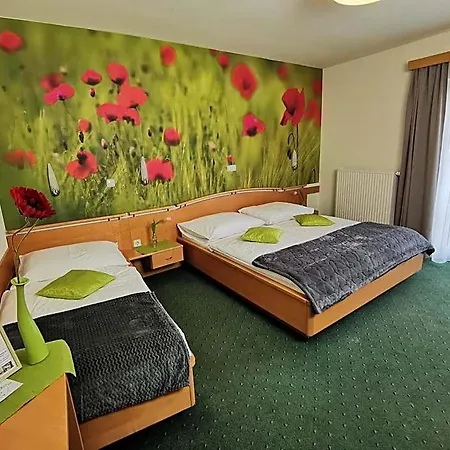 & Wirtshaus Hoedl-kaplan Hotel 3*