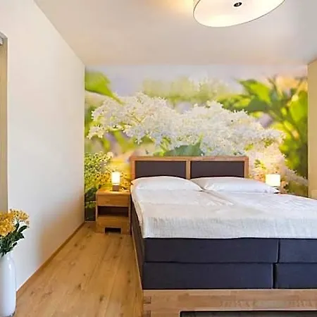 & Wirtshaus Hoedl-kaplan Hotel Feldbach (Styria)
