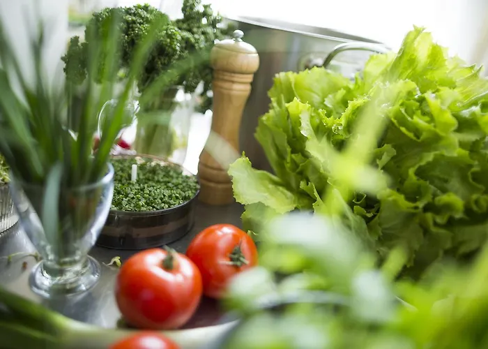 & Wirtshaus Hoedl-kaplan Hotel Feldbach (Styria)